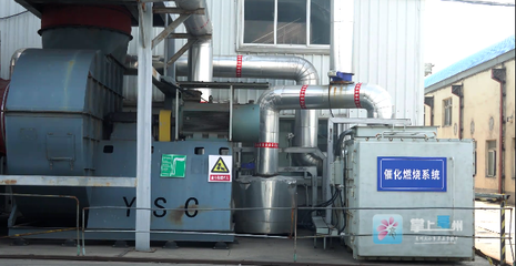 亳州 绿色工厂点“绿”成“金”，信息技术咨询服务助力产业升级